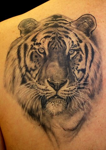 Фото и  значения татуировки Тигр. X_3ea539ab